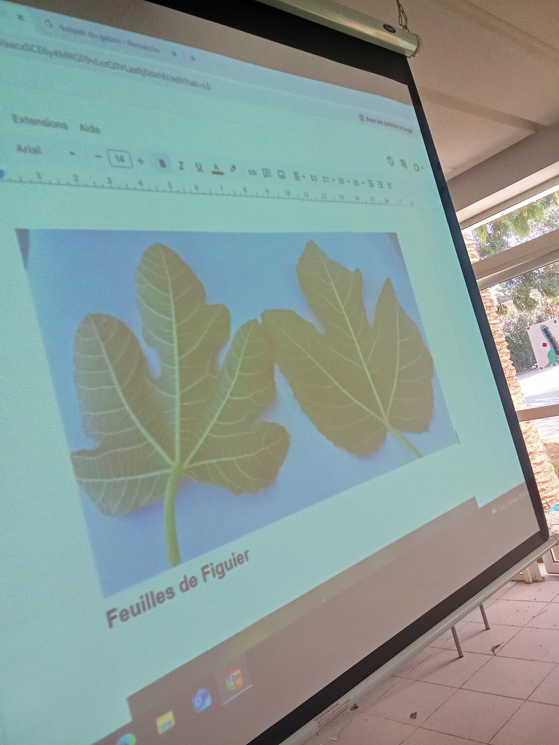 IMG_20251114_141339 (1)