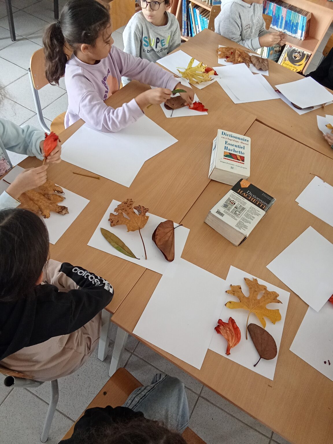 IMG_20251114_143802 (1)