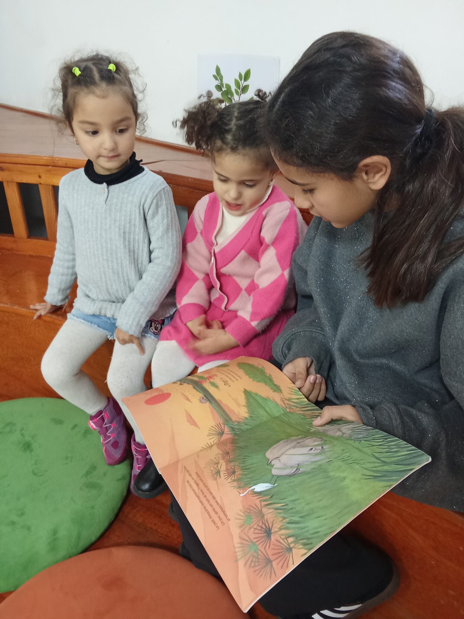 IMG_20260130_091104 (1)