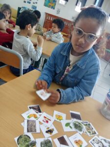 IMG-20260402-WA0004
