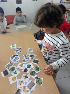 IMG-20260402-WA0005