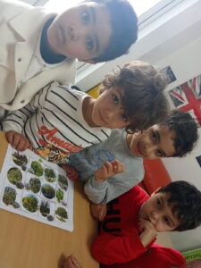 IMG-20260402-WA0011